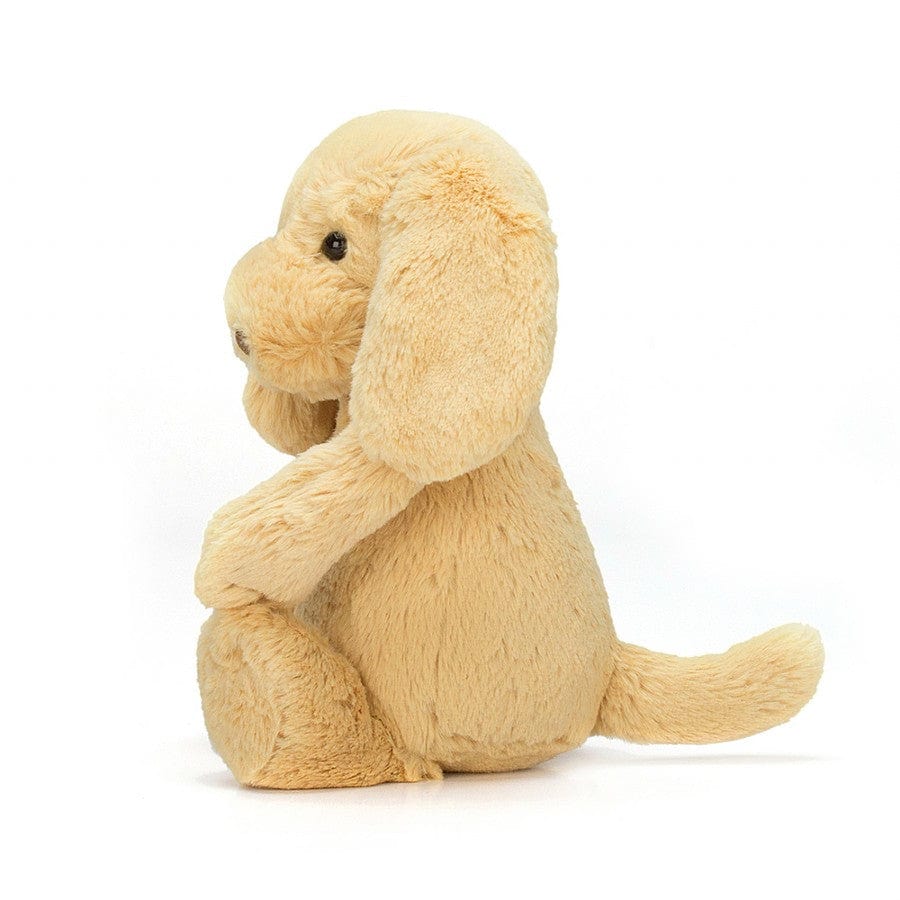 JellyCat - Bashful Toffee Puppy – Carolina Girls